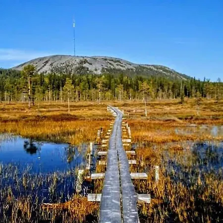 Luoston Vaeaertin Kammi Alpehytte Luosto