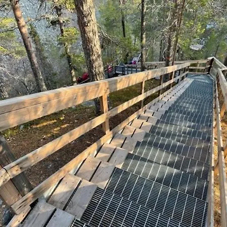 Luoston Vaeaertin Kammi