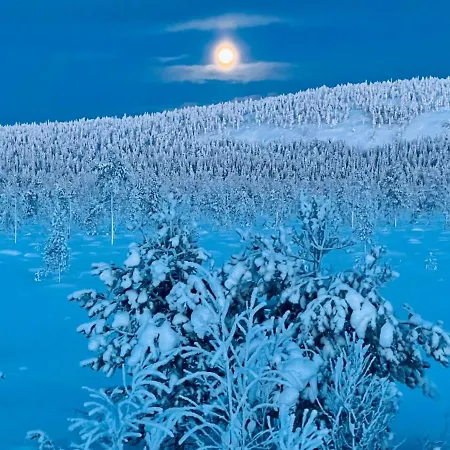 Luoston Vaeaertin Kammi *