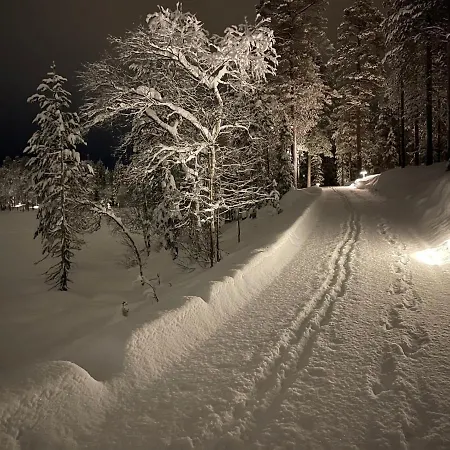 Alpehytte Luoston Vaeaertin Kammi Luosto