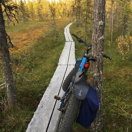 Luoston Vaeaertin Kammi *