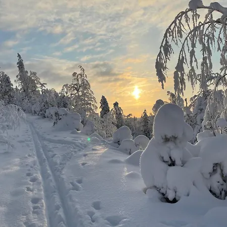 Alpehytte Luoston Vaeaertin Kammi Luosto