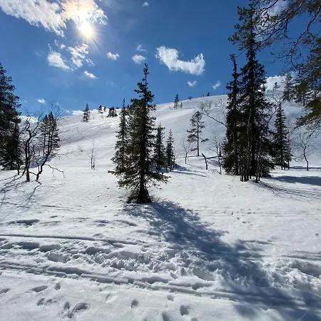 Alpehytte Luoston Vaeaertin Kammi