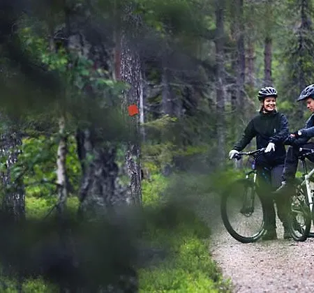 Alpehytte Luoston Vaeaertin Kammi *