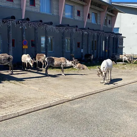 Luoston Vaeaertin Kammi