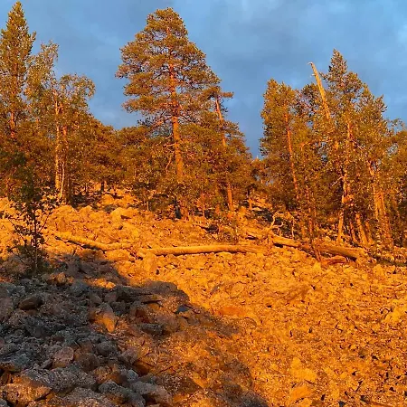 Luoston Vaeaertin Kammi Alpstuga *