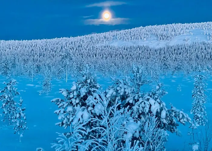 Luoston Vaeaertin Kammi *