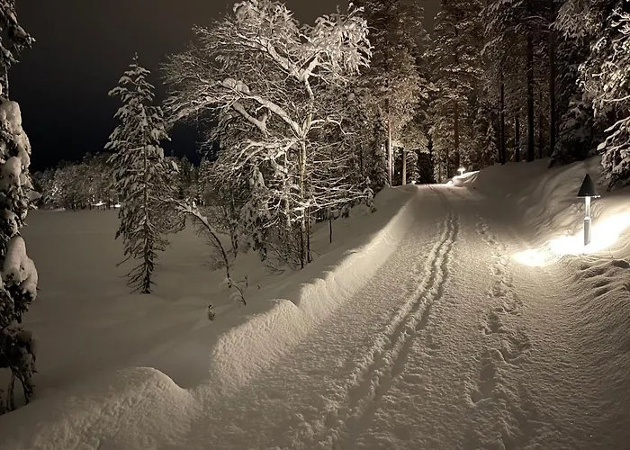 Chalet Luoston Vaeaertin Kammi Luosto