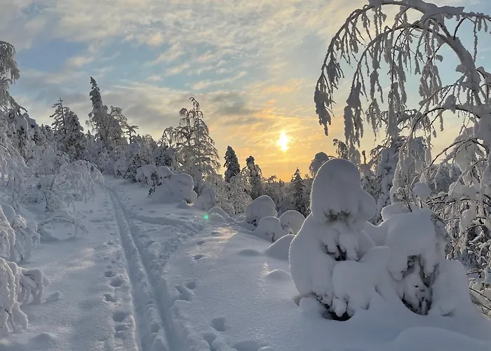 Chalet Luoston Vaeaertin Kammi Luosto
