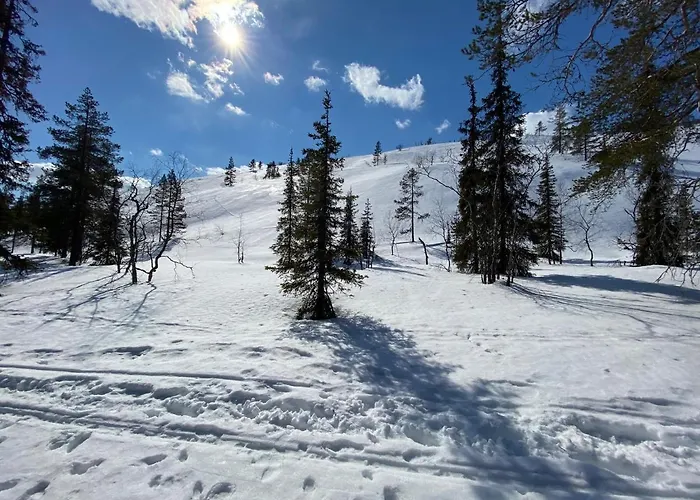 Chalet Luoston Vaeaertin Kammi