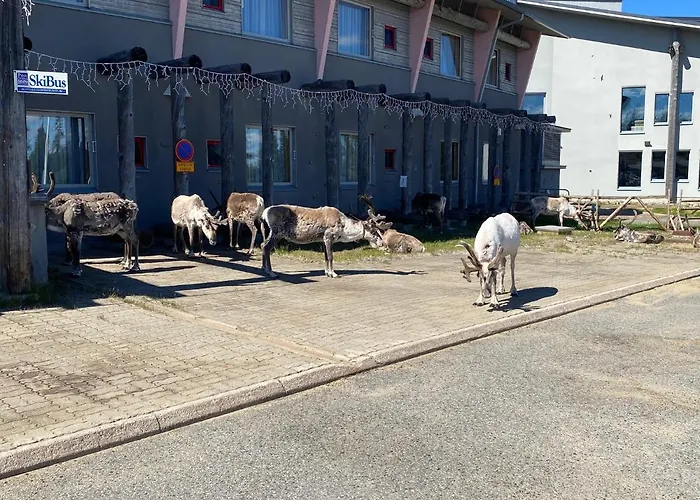 Luoston Vaeaertin Kammi